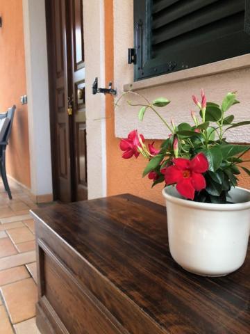 Apartament Il Giardino Delle Rose Spello Zewnętrze zdjęcie