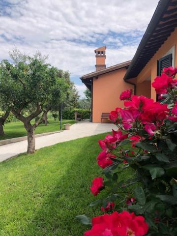 Apartament Il Giardino Delle Rose Spello Zewnętrze zdjęcie